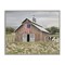 Stupell Industries Patriotic Barn & Cow Framed Giclee Wall Art Design by Amber Sterling